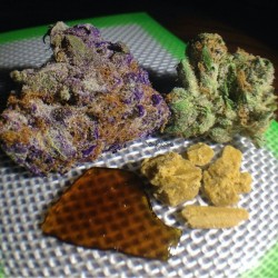 letssmokeloud:  Always dank weedporn by weedstahiigh! Visit LetsSmokeLoud.com for dank weed pics!