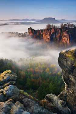 travelgurus:  Foggy morning at Bastei  ,National Park Saxon, Switzerland by  Daniel Řeřicha                Travel Gurus - Follow for more Nature Photographies!   