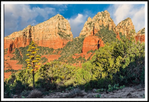 wapiti3:  Guy Schmickle photos (The Desert Southwest -Magical Sedona ) on Flickr. 1-An Agave Trio and Mitten Ridge  2-Harding Springs in Oak Creek Canyon, Arizona 3-The Cibola Mitten at Sunset - Sedona, Arizona 4-Fiery Sunset Over Mitten Ridge - Sedona,