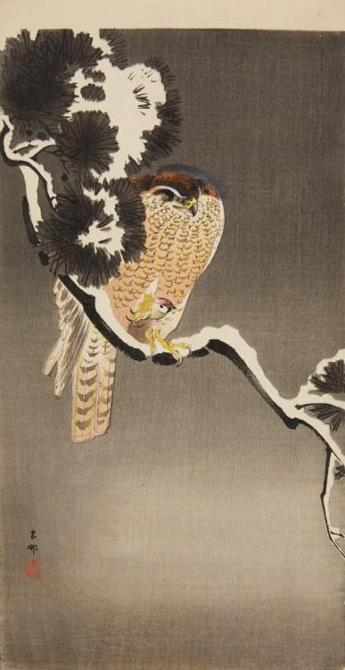 laclefdescoeurs:Goshawk with prey on a Snow-Covered tree branch, Ohara Koson