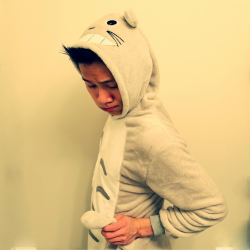 justrelaxandchill:Totoro onesie? 
