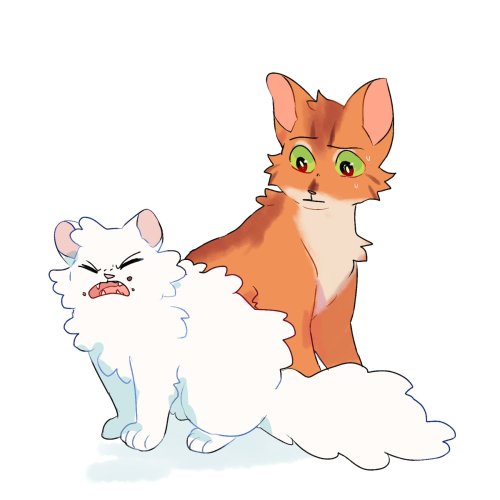 Cloudpaw