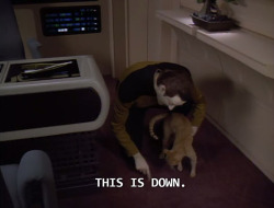 rapacityinblue:  rubyvroom:  stonelionhearts:  one of the most brilliant exchanges ever written for television tbh  I mean as story decisions go, giving Data a cat and the screentime to try to logically reason with the cat with very little success, thus