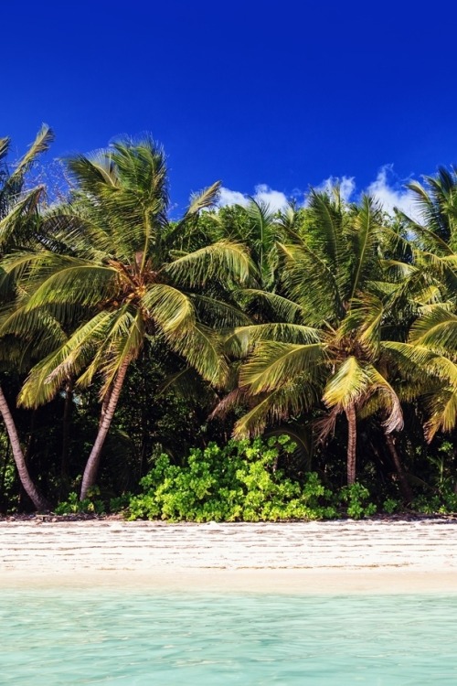 wavemotions:Praslin by Patrick Rosyk