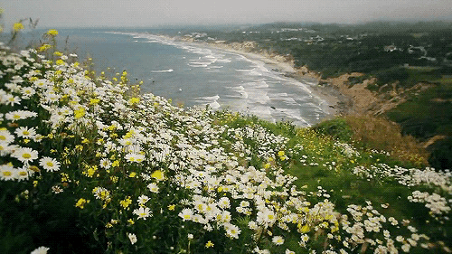 hipster-aesthetics:  live a happy life x