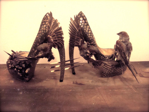  Holy wow, taxidermy heels! Birds and hooves and other animals attached to heels. Find the full arti