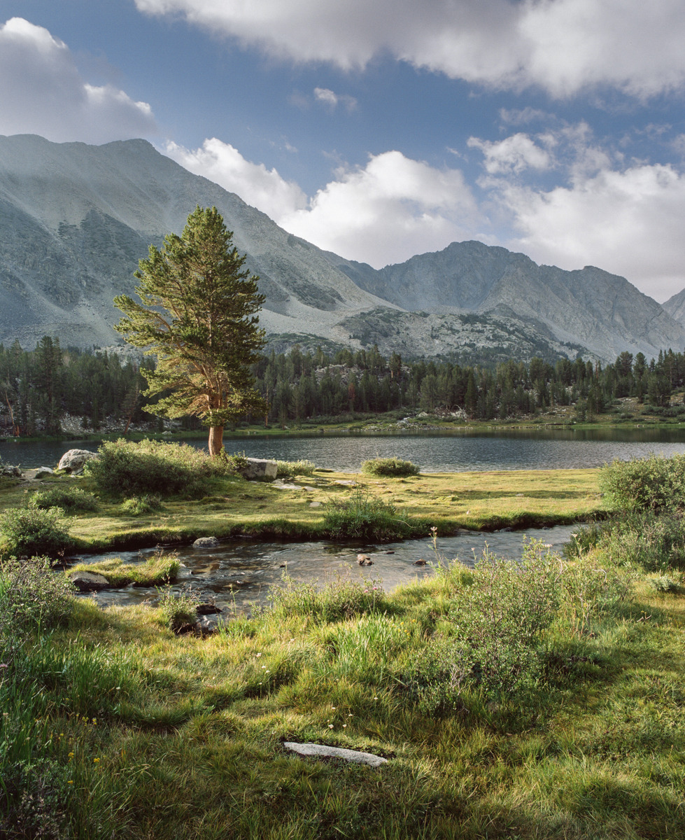 allfilmeverything:  Alpine Lake in Summer, Eastern Sierras  Pentax 6x7 / Kodak Portra