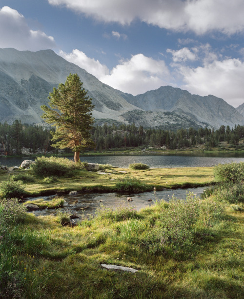 allfilmeverything:Alpine Lake in Summer, Eastern Sierras Pentax 6x7 / Kodak Portra 160