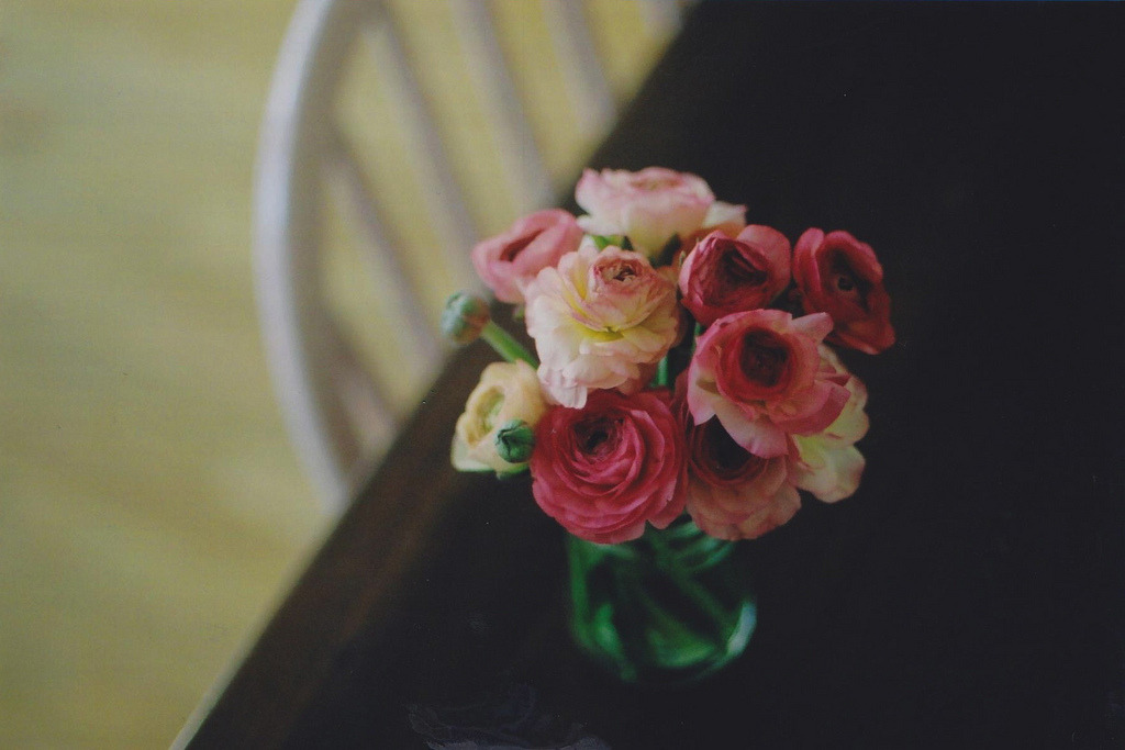 jacindaelena:     by emily*w   