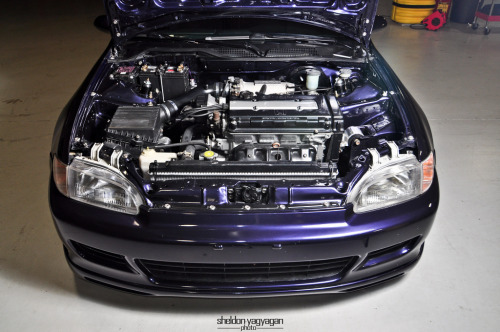 thejdmfantasy:  Haze!