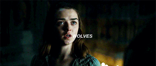 somemultifandomshit:“The Northerners will never forget.” 