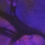 3dani7