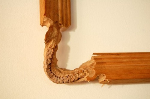 veralynn23:  Maskull Lasserre - Anatomical Sculptures 