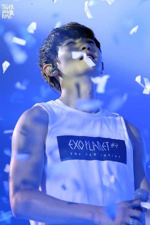 yeollie