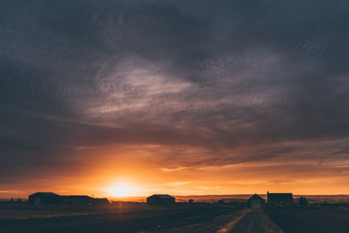 42zx:October Light