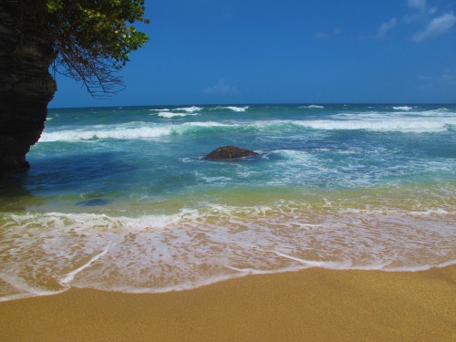 jurassicparkss:Trinidad and Tobago + Water