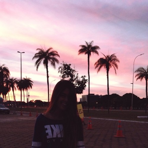 tulipe - se