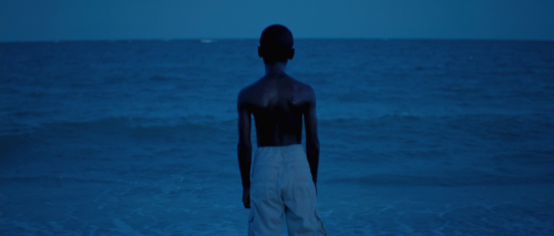 sanctuaryofcinema:  Moonlight | 2016 dir. Barry Jenkins director of photography. James Laxton