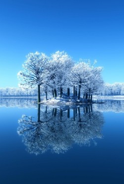 unwrittennature:   blue winter  lynden bradley
