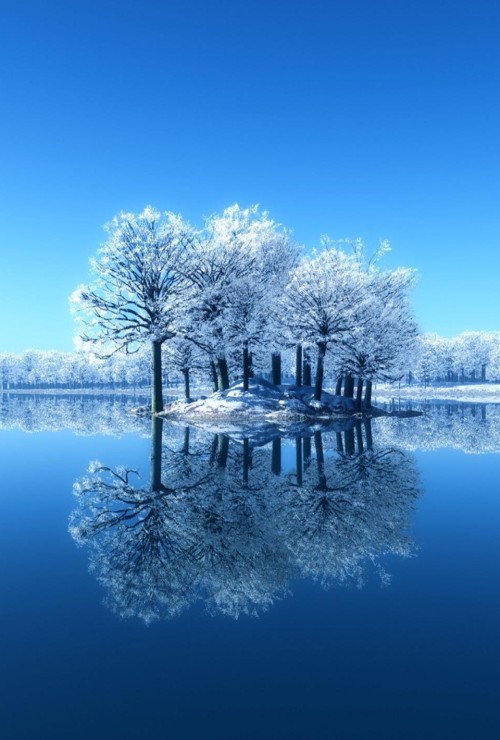 unwrittennature:   blue winter  lynden bradley     