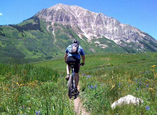 estrangedadventurer: Mountain Biking Deer Creek Trail, Crested Butte, CO by TRAILSOURCE.COM on Flick