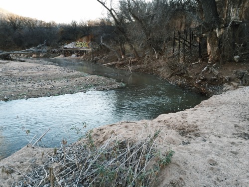 January 2016 - San Pedro River, AZ Request Print   |   Buy Other Prints