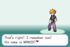 Reasons I should’t be allowed to play pokemon.
