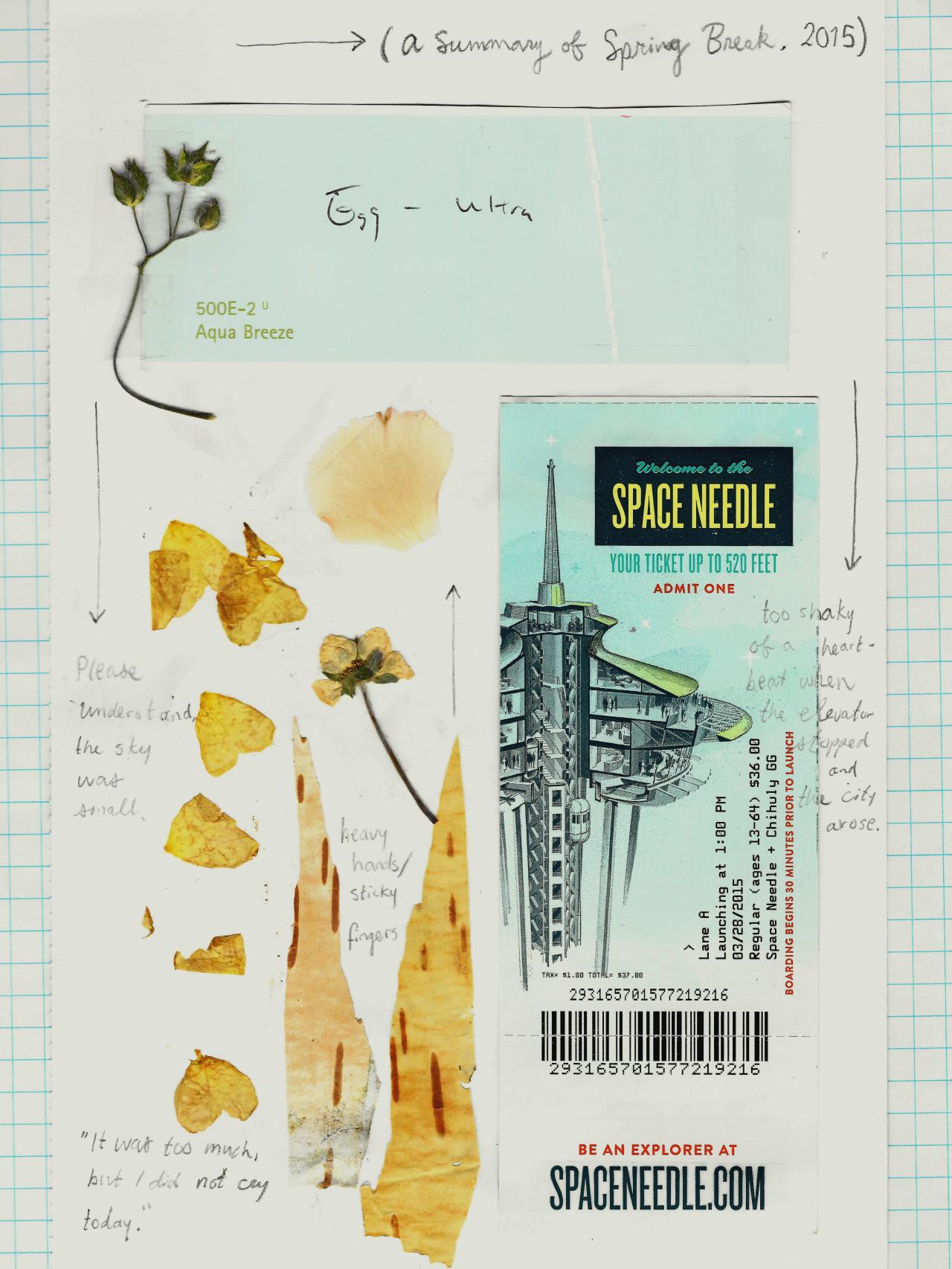 madronas:  some sketchbook scans from the spring, feat. self-love and flower love.