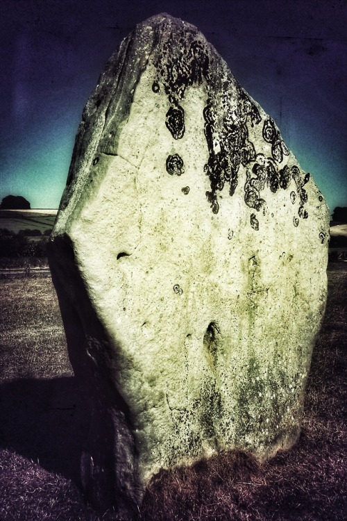 West Kennet Stone Avenue, nr Avebury, Wiltshire, 27.6.18.