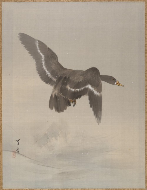 met-asian: by Watanabe Seitei, Asian ArtCharles Stewart Smith Collection, Gift of Mrs. Charles Stewa