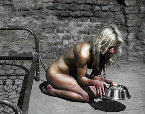 tgirlinthemirror: slavegirldiana: Forced to eat her meals out of a dog bowl.  She used to masturbate