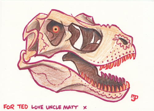 A quick Tyrannosaurus Rex skull I drew for a friend’s son.