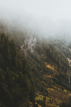 youseethenew:Hiking around Mount Rainier