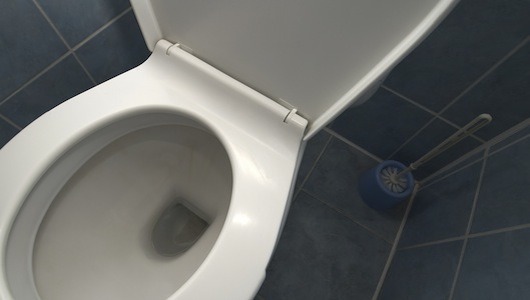 What not to flush down the toilet     Your indiscriminate flushing can be detrimental, causing clogged pipes and sea otter deaths.