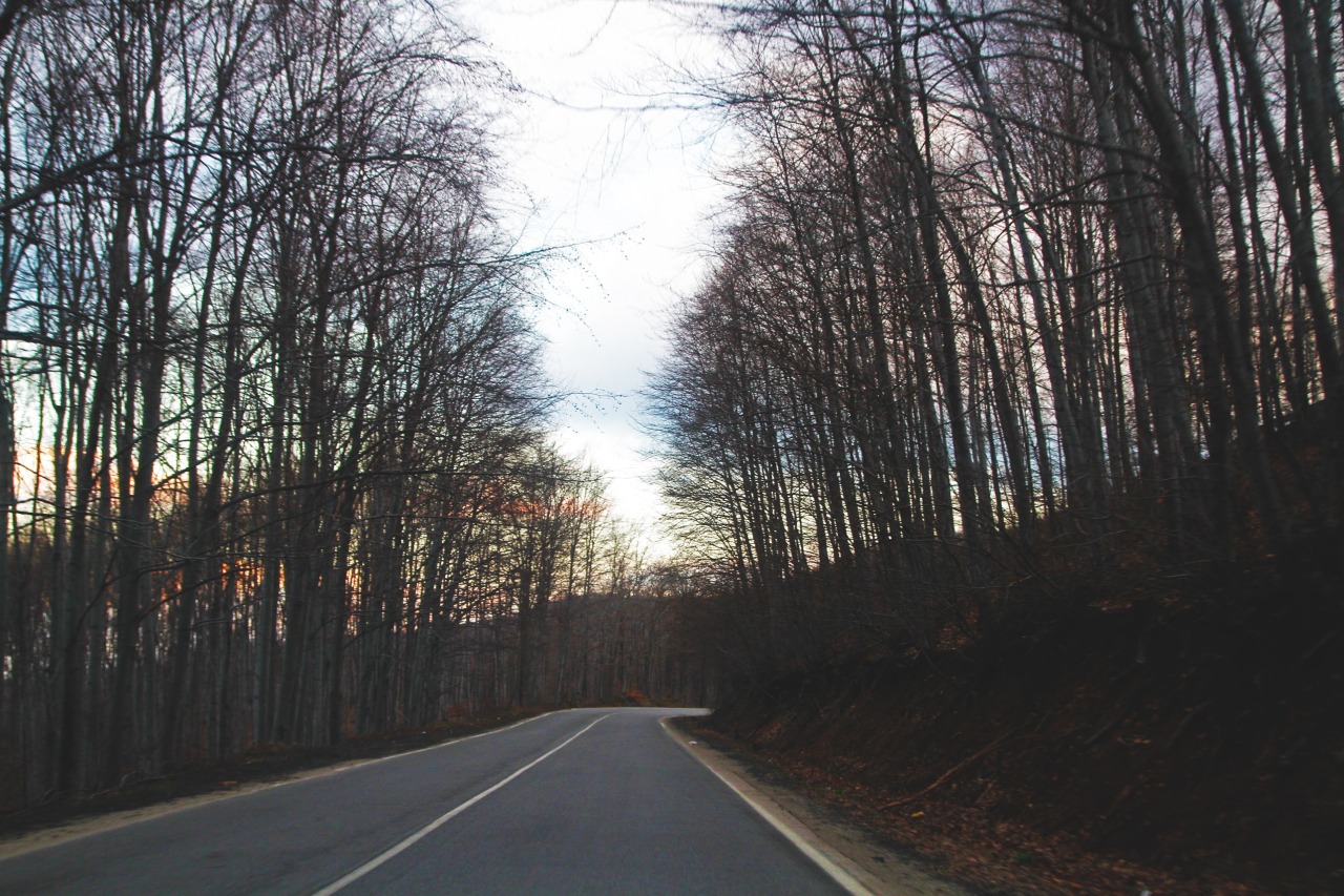 noizzex:  by noizzexinstagram | 500px | deviantart | flickr | society6