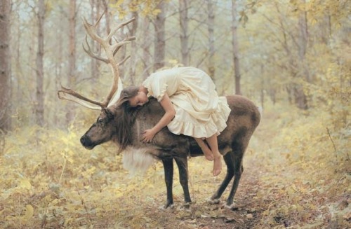 m-e-d-i-e-v-a-l-d-r-e-a-m-s: Magical shots of girls interacting tenderly with wild animals  Photos B