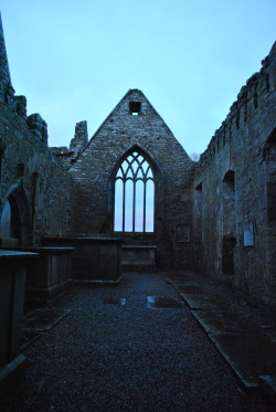 caravaggista:  Ross Errilly Friary in Ireland at sunset. January 5, 2014. 