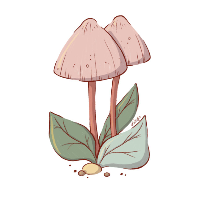 #mushroom-art on Tumblr