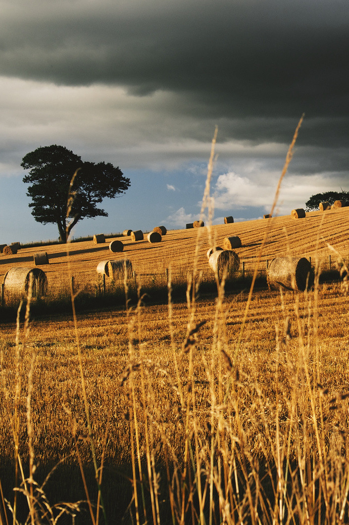 l0stship:   end of summer (source) by richard thwaites   