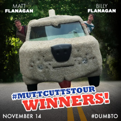 dumbtomovie:  Congratulations to Matt and Billy Flanagan, our #MuttCuttsTourWinners! They toured with the Shaggin’ Wagon and proved their skills on the open road! #DumbTo 