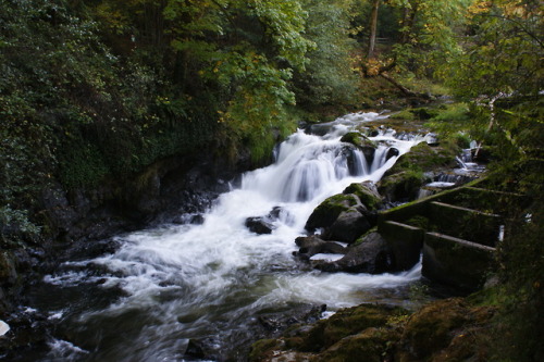 frommylimitedtravels:Middle falls - Tumwater Falls Park.