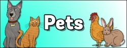 Mandykay9:  Where My Fellow Pets And Other Petplayers At?! I Wanna Know, So Reblog!