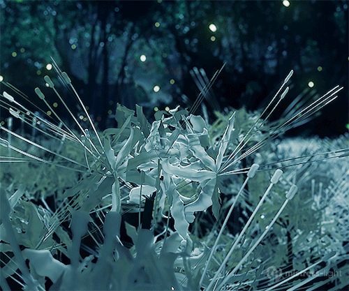 Ghost Of Tsushima PC • (dev. Sucker Punch Productions)