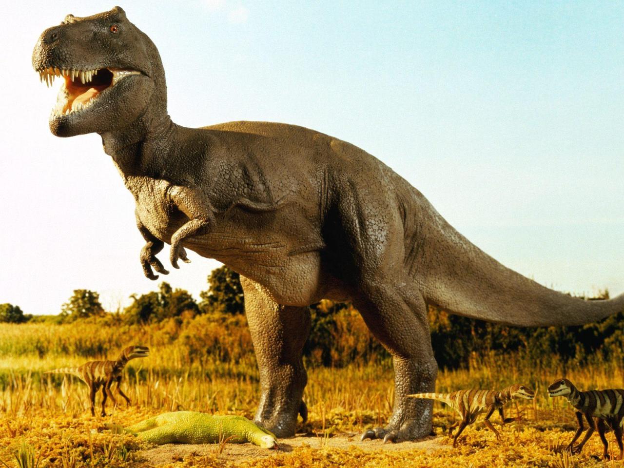 tinypawpets:  You think birds are the closest living relatives to dinosaurs?  Think