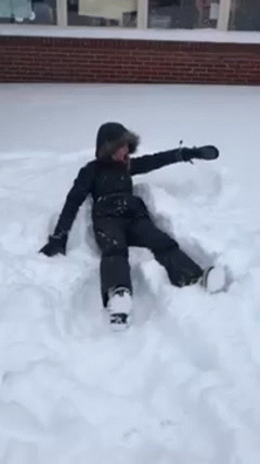 yesiamyourgoddess:  awwww-cute:  What are you doing, human? Oh, let me try (Source:
