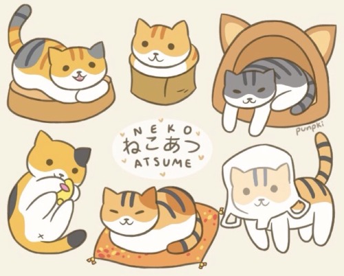 nikksicle:my six fav neko atsume cats :3cu may use w credit!!