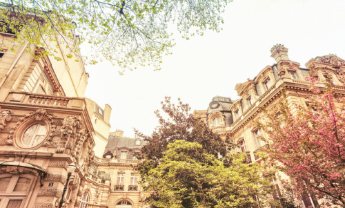 allthingseurope:Paris spring (by Vivienne Gucwa)