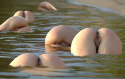 thelittlebabygirl:  amanwomenlove:  This is the correct way to convince me to go swimming with your sorority.  ;)  its a sea of assholes