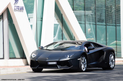 automotivated:  Cipriani (by Gaetan | www.carbonphoto.fr) 