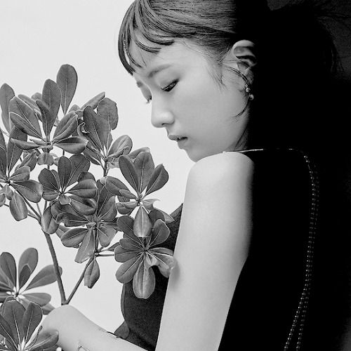 zionqt:    Kpop Concepts:Apink  Pink Revolution    
